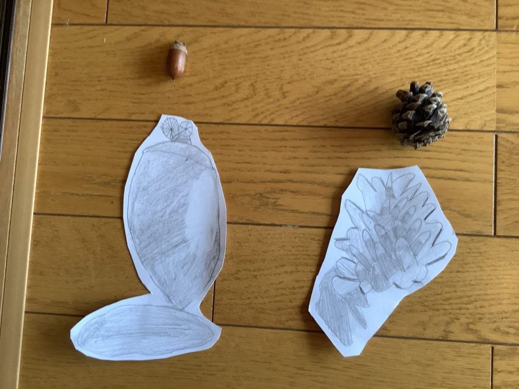 松ぼっくりとどんぐり