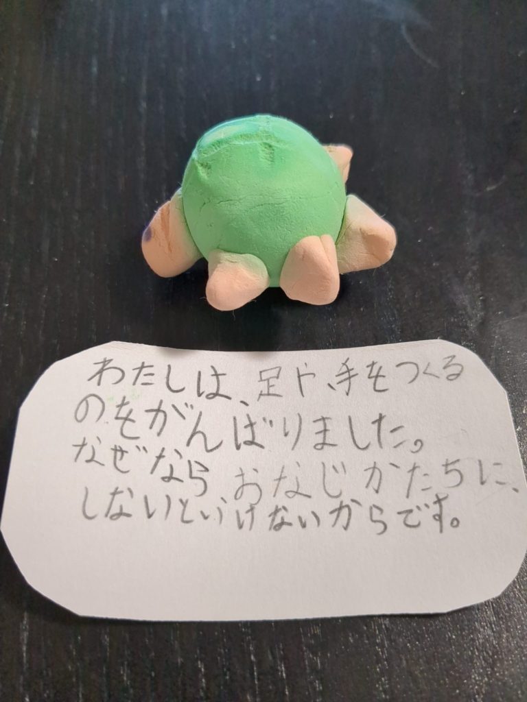 かわいいかめさん