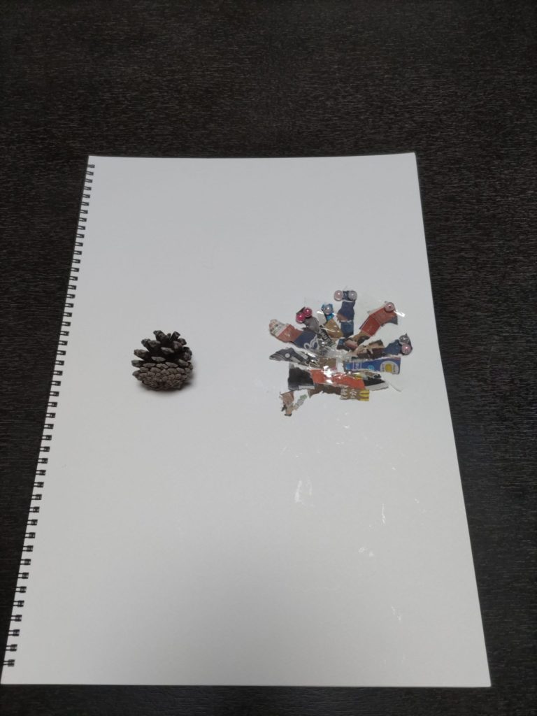 まつぼっくりのコラージュ