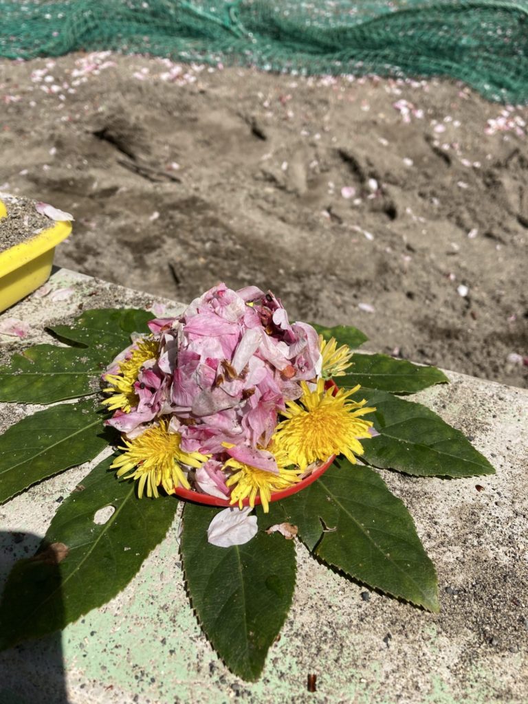 桜とたんぽぽのケーキ