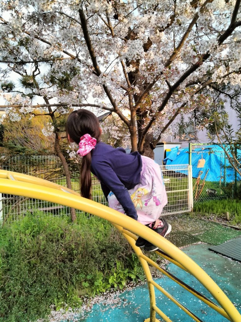 桜と幼稚園