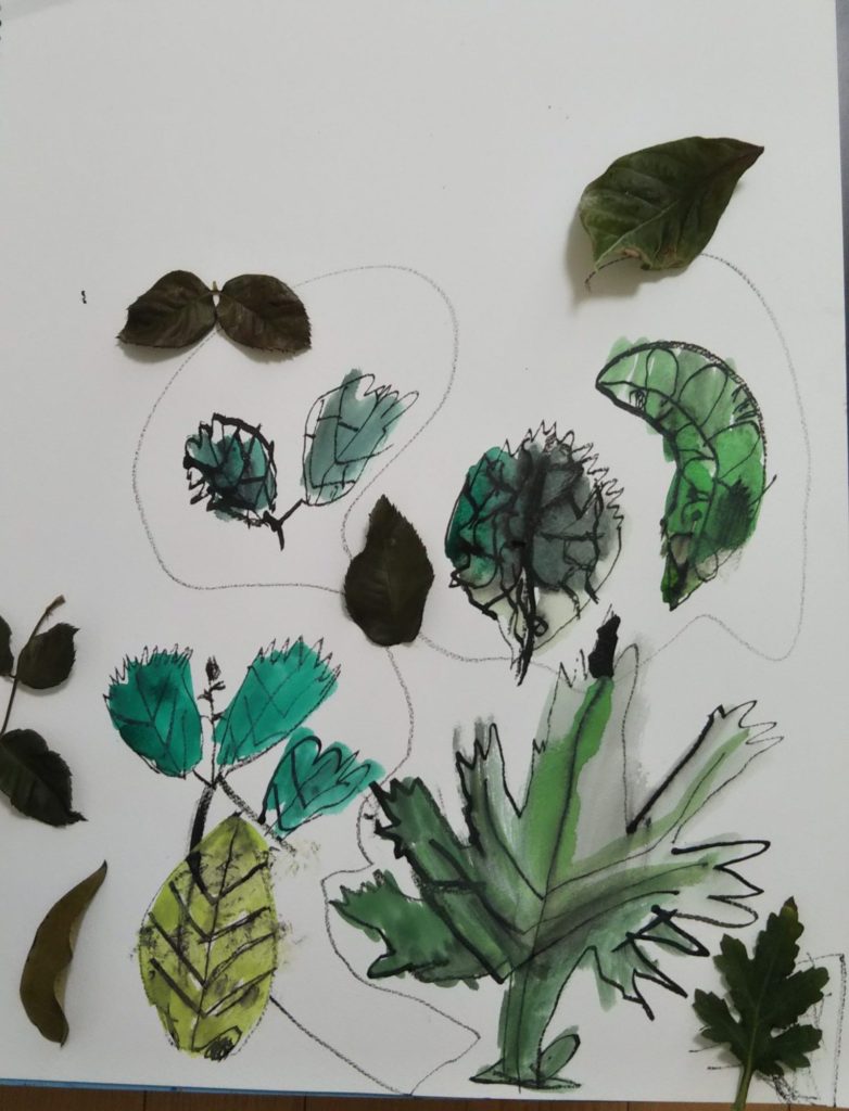 いろいろはっぱ