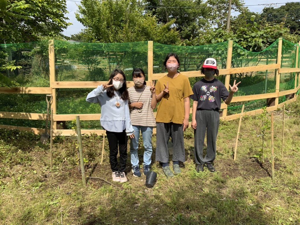 りんごの木を植樹しました