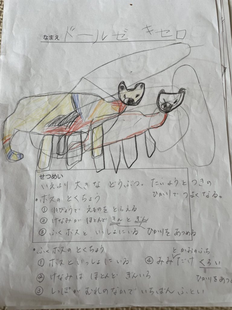 ドールゼキセロ