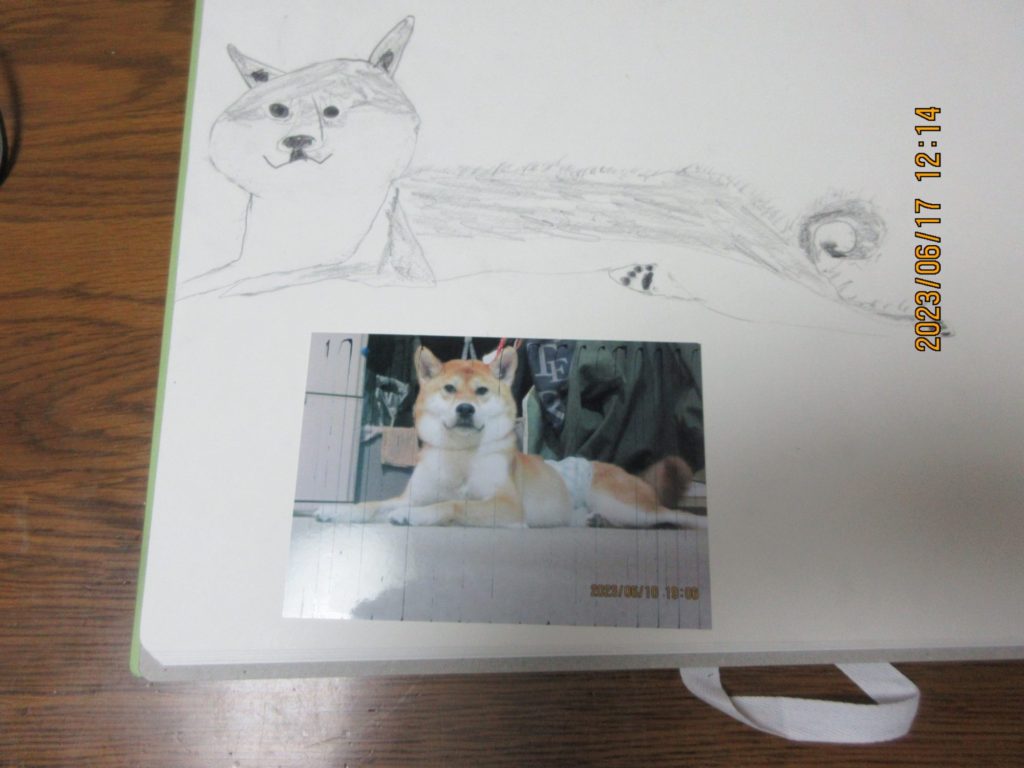 うちの犬令くん