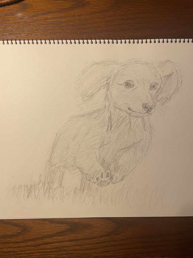 デッサン、犬