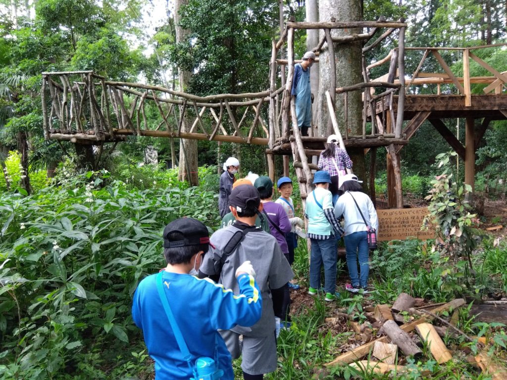 ツリーハウスに登ったよ！