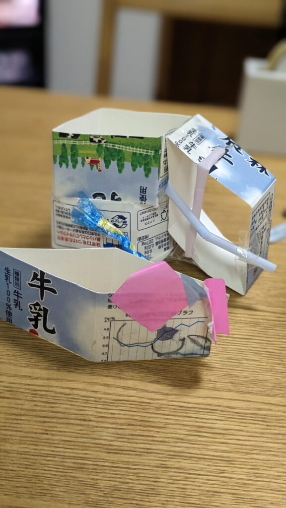 きんぎょちゃんとお家とチューリップ🌷