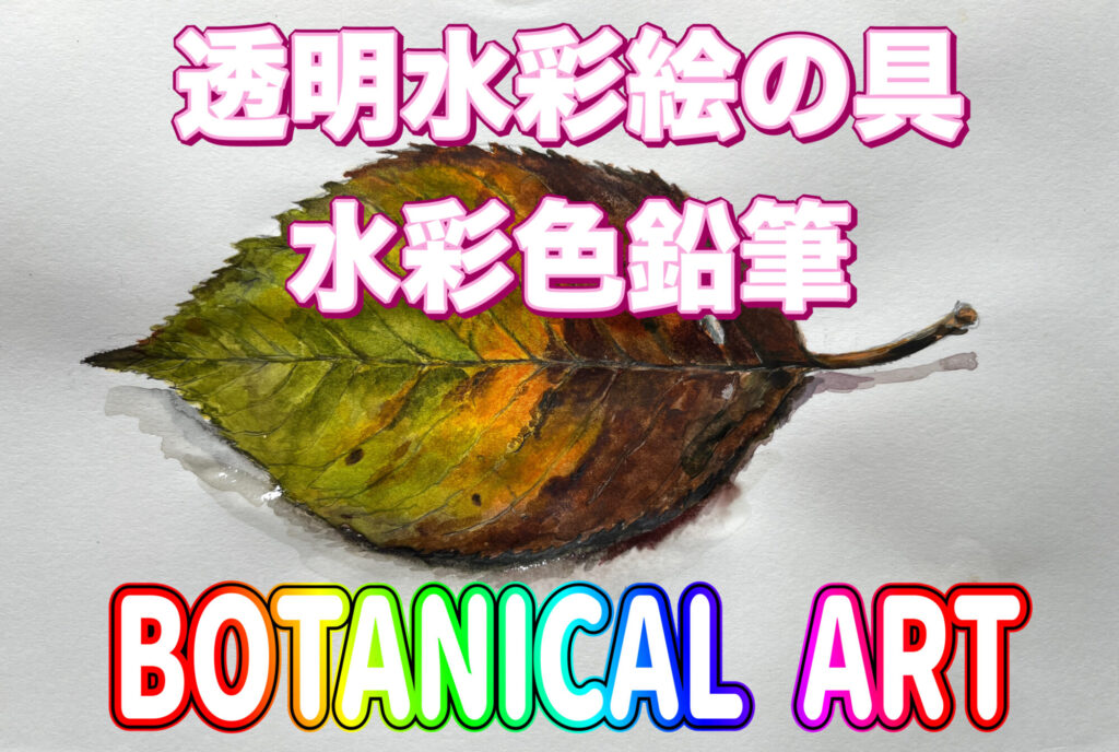 ボタニカルアート　桜の葉