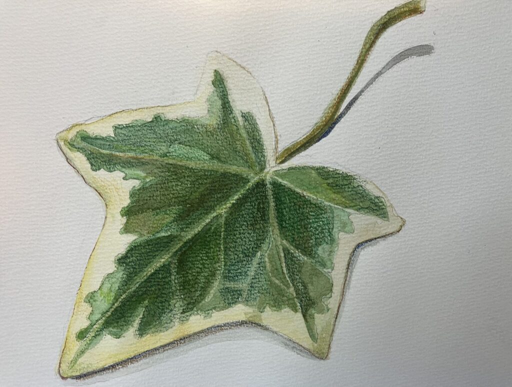 水曜日のボタニカルアート