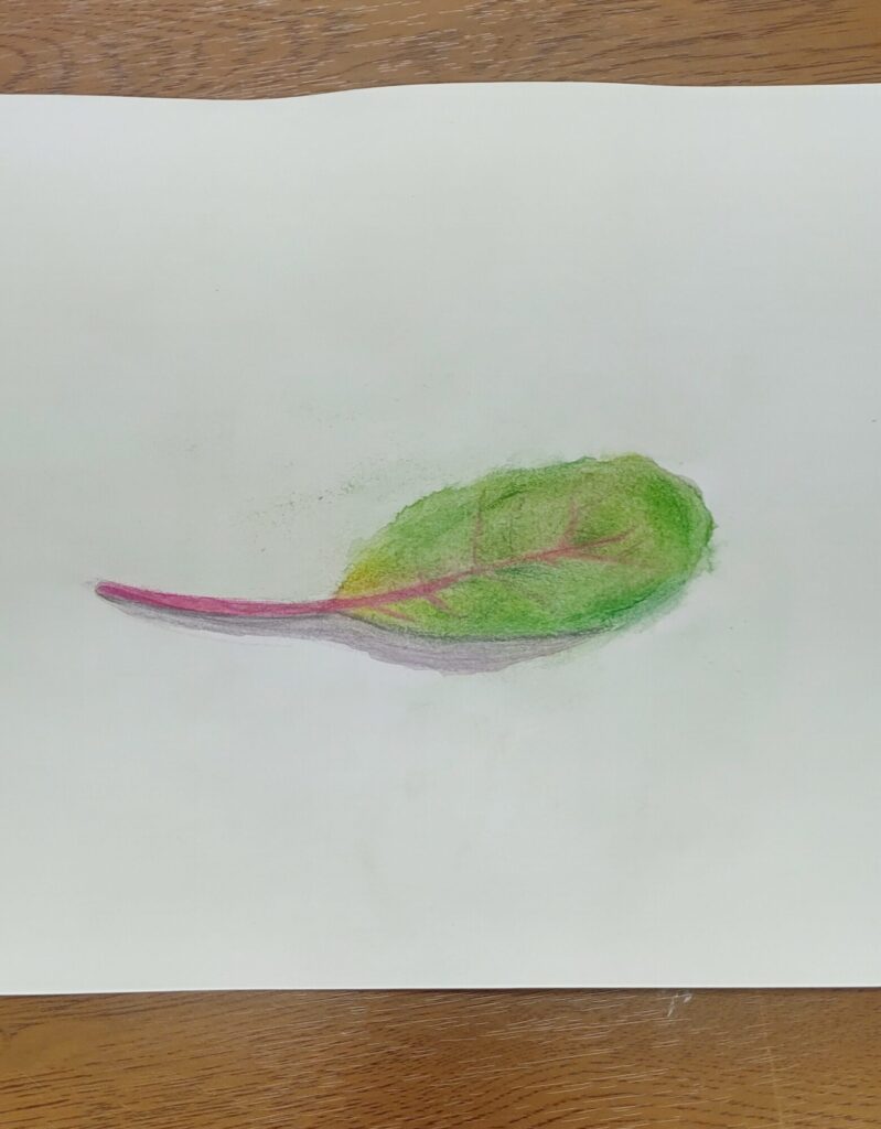 ボタニカルアート