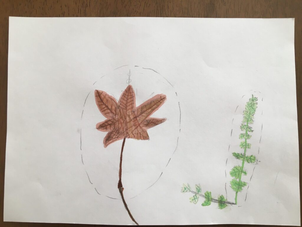 ボタニカルアート　3回目