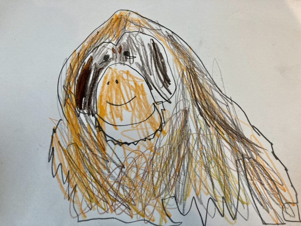 スマトラオランウータン