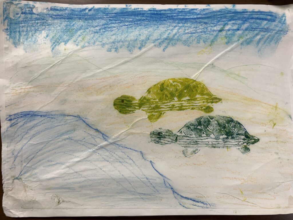 砂浜で遊ぶかめ