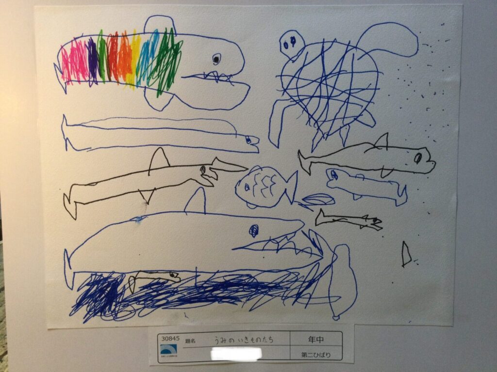 うみのいきものたち