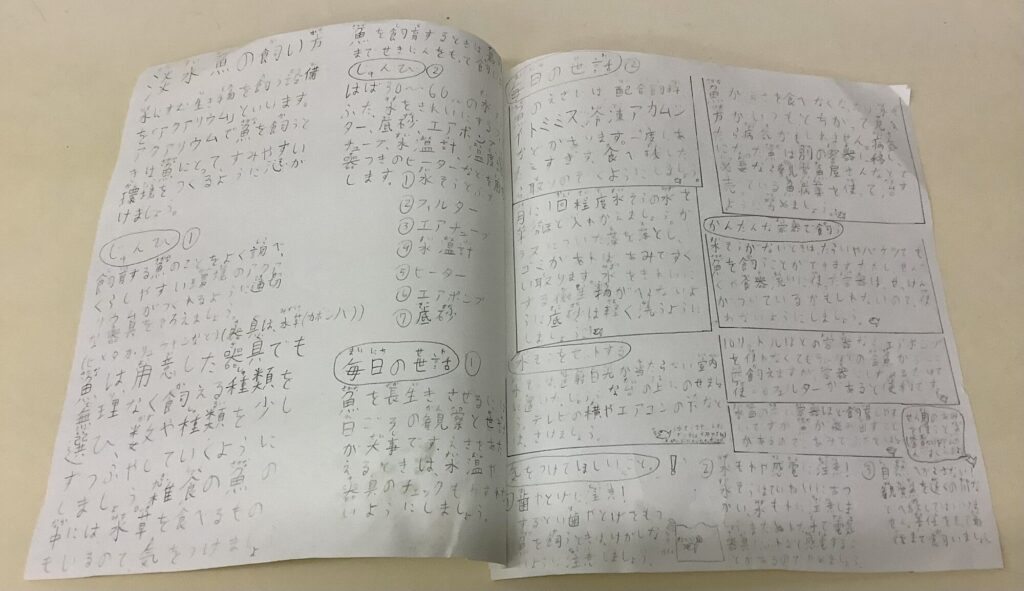 淡水魚の飼い方