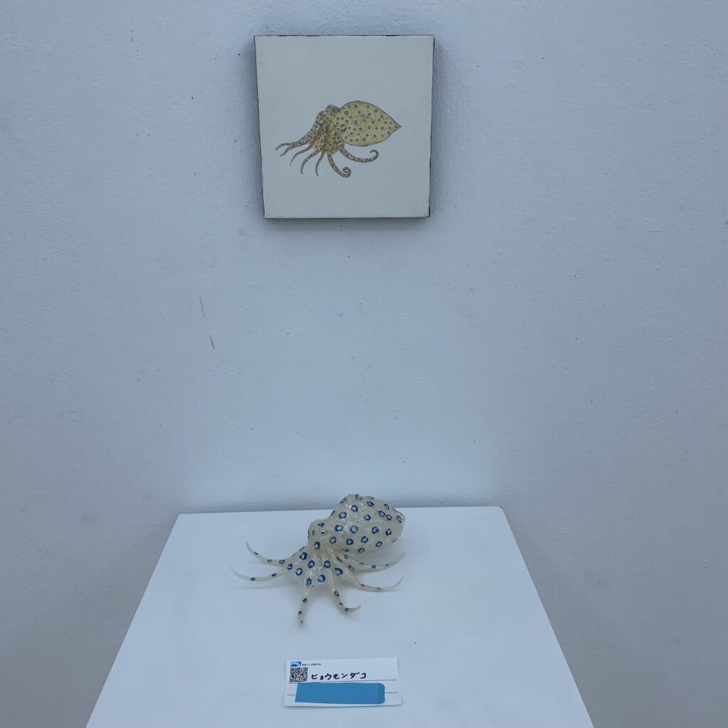 ヒョウモンダコ