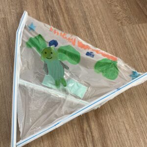 ブーメラングライダー