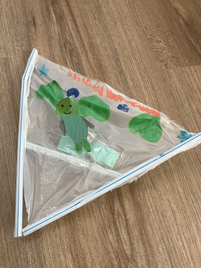 ブーメラングライダー