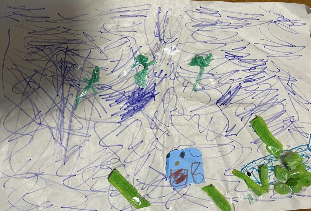 海のお散歩🌊🐟