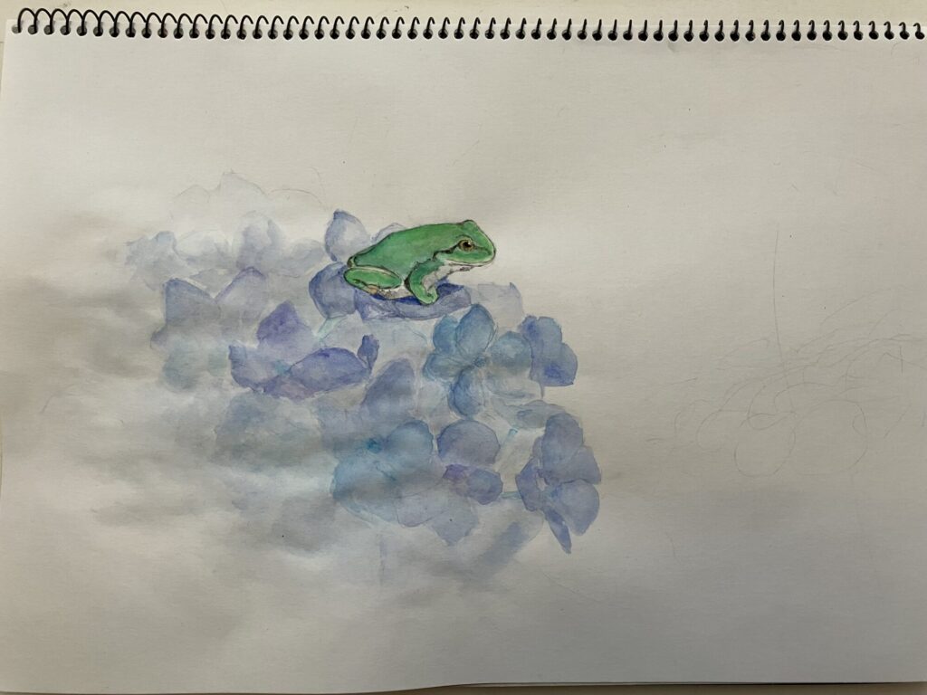 蛙と紫陽花