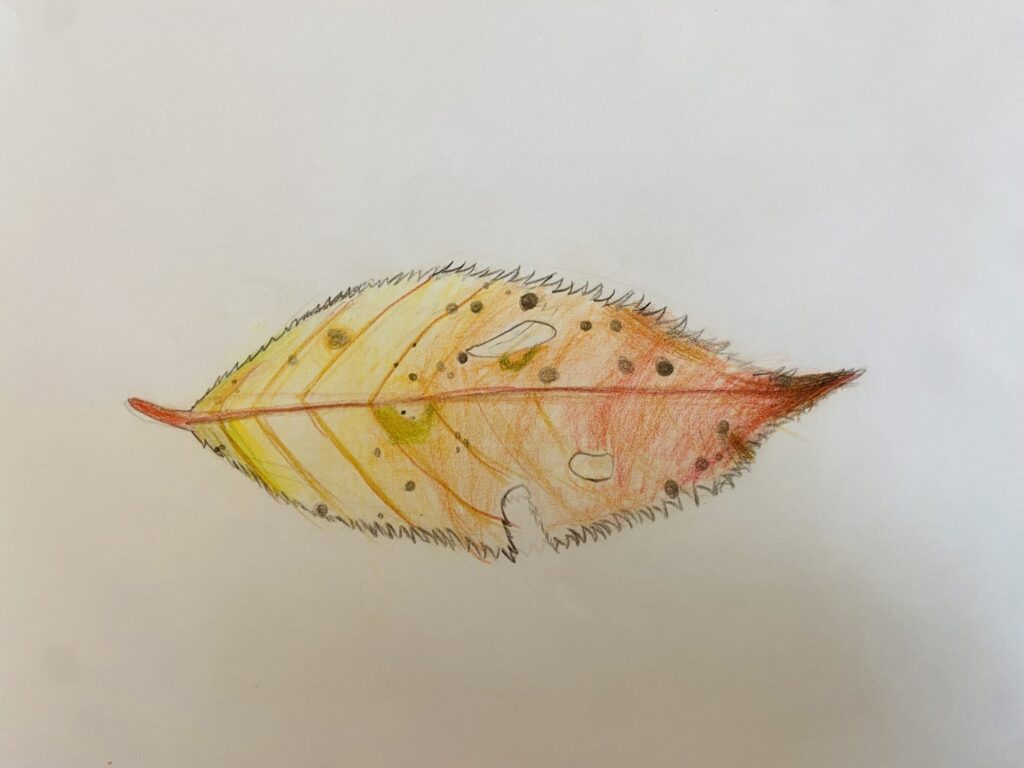 グラデーション