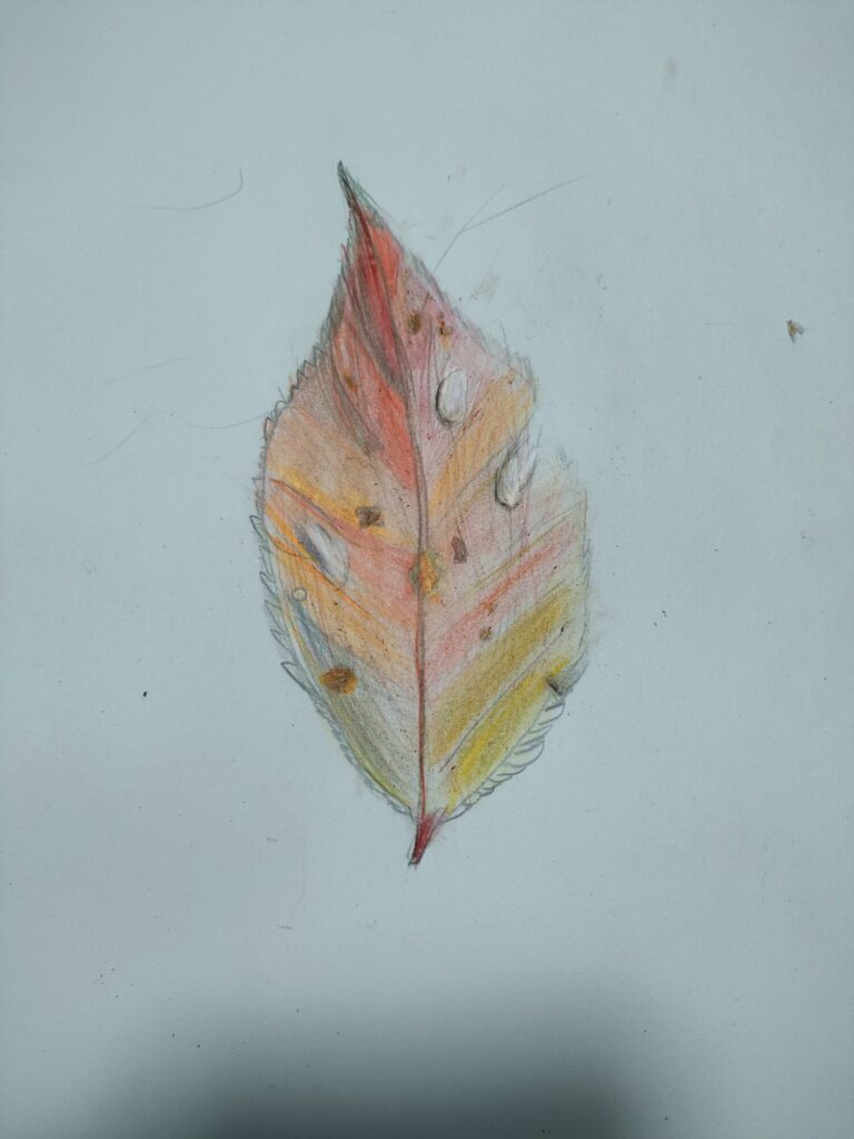 枯れ葉のデッサン