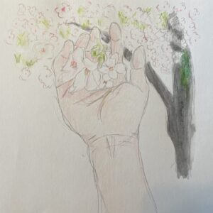 手の中の桜