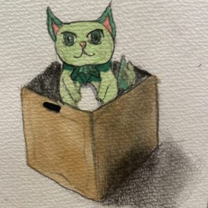 デッサン　立方体…からのネコちゃん