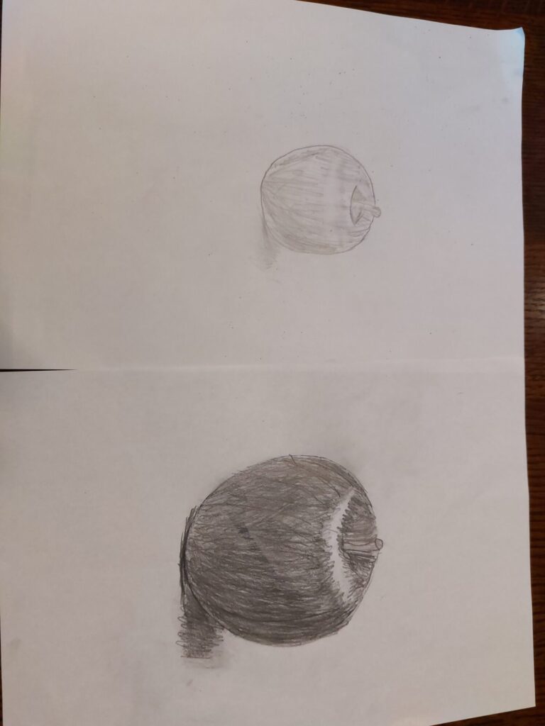 薄いりんごと濃いりんご