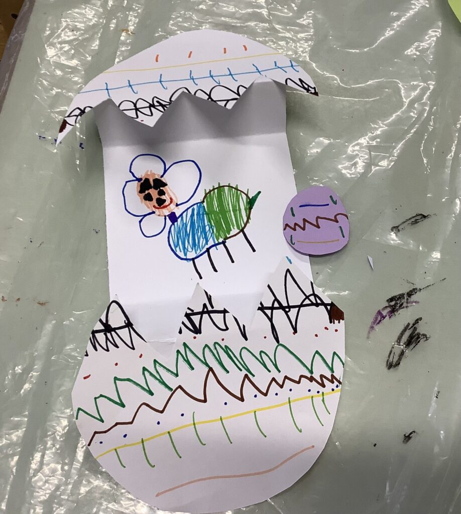 トリケラトプスのたまご‼️