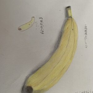 デッサン バナナ