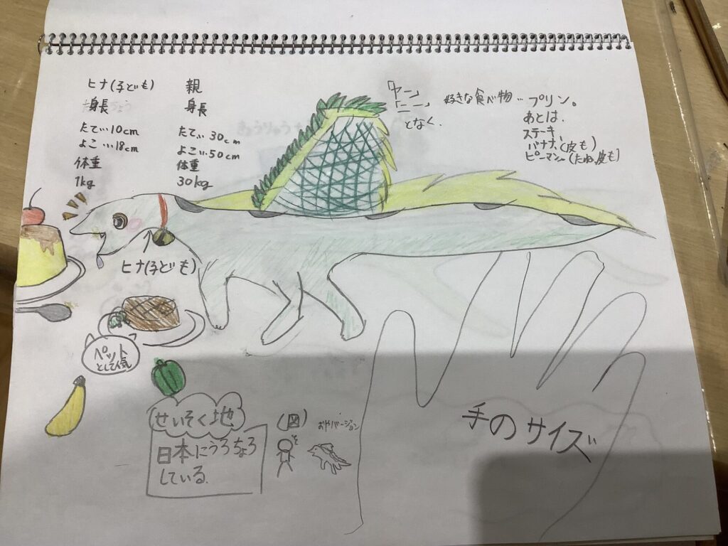 パレオアート　6年生女の子