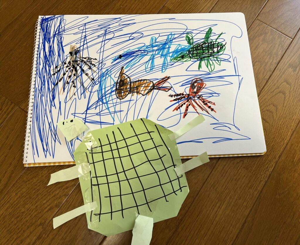 海の中のお魚さん🐟とカメさん🐢