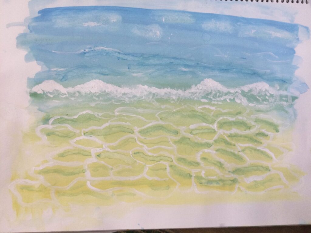 海