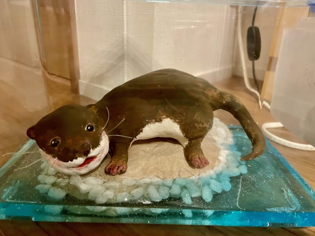 夏休み自由研究2  コツメカワウソ