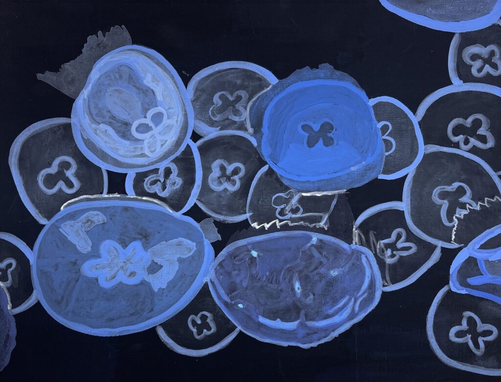 すみだ水族館のクラゲ達