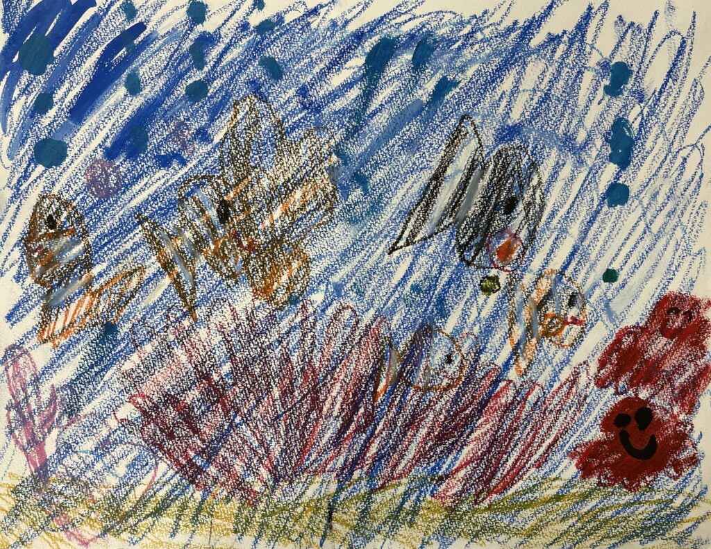 おきなわのうみ