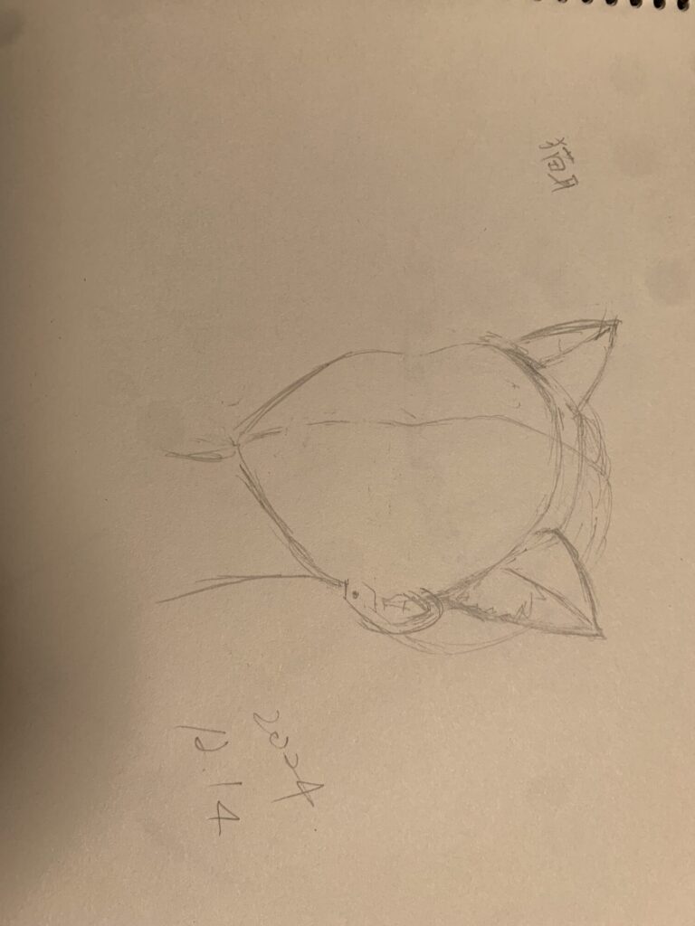 12月14日レッスン　頭の小物を描いてみよう