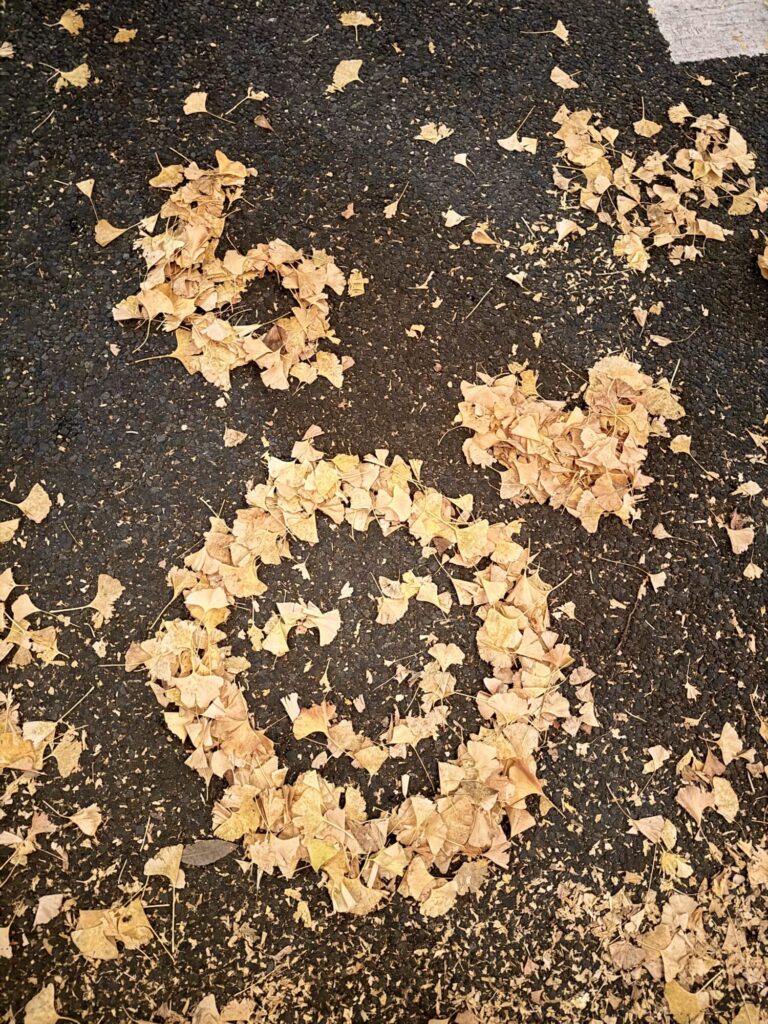 いちょうの葉っぱでにっこりさん