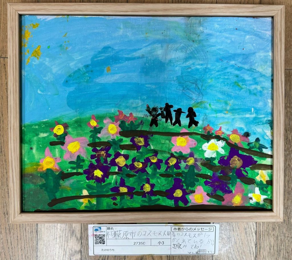 相模原のコスモス畑