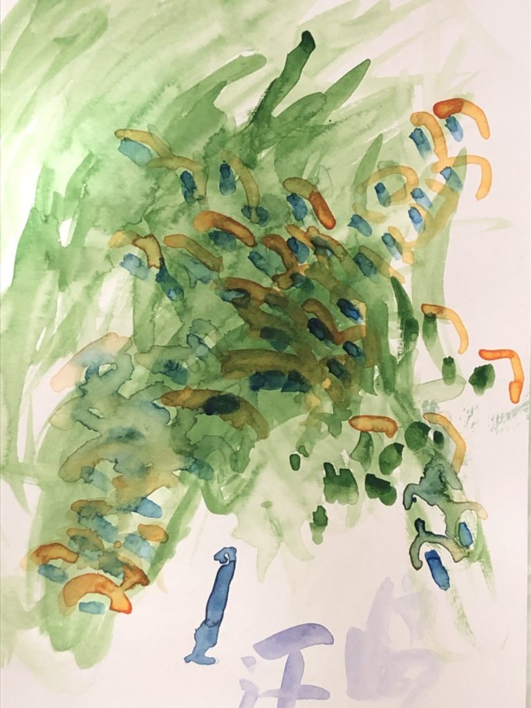 クジャク（5歳）