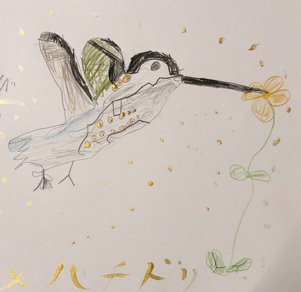 ハチドリ（6歳）