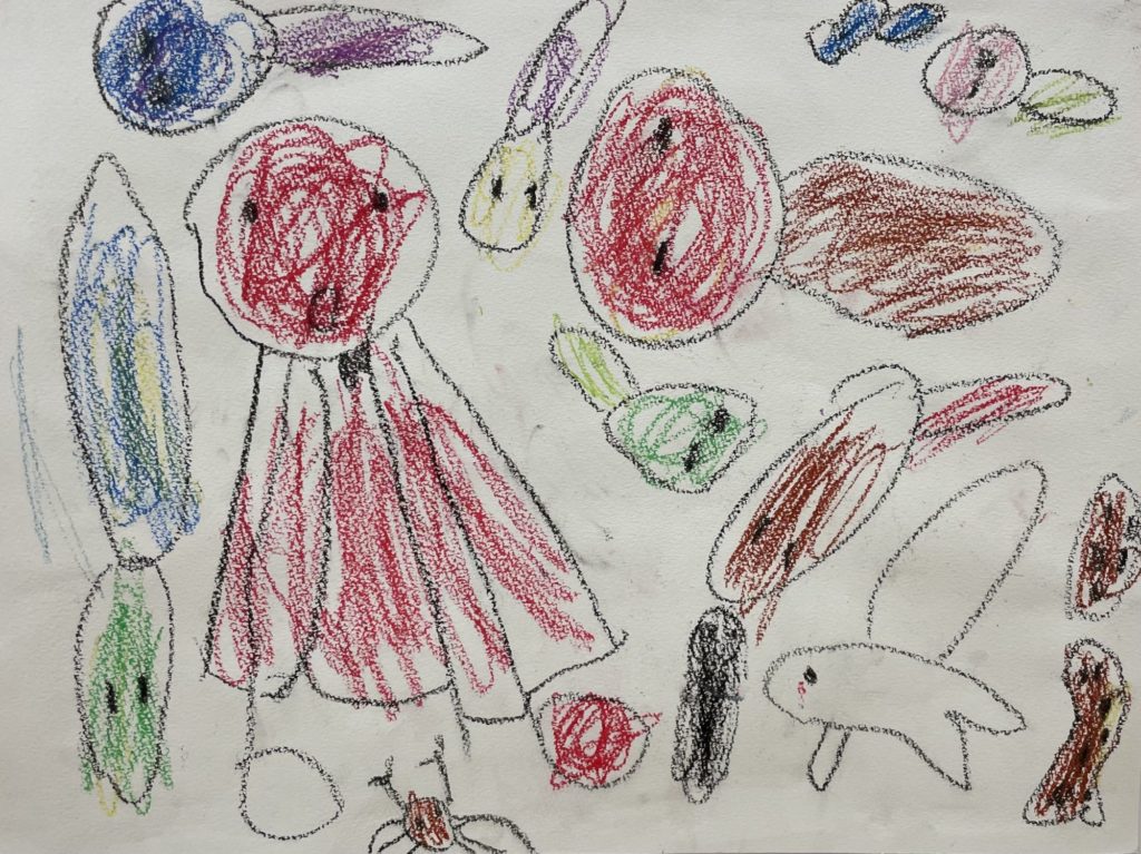 タコ　おたまじゃくし　たまご