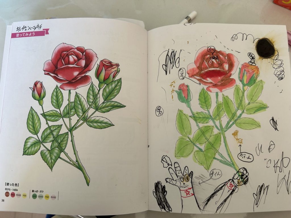 キレイなバラキチ