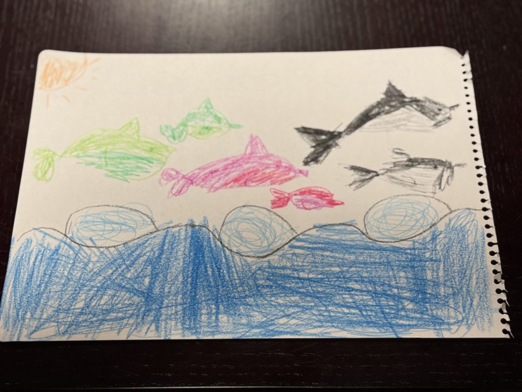 イルカのショー