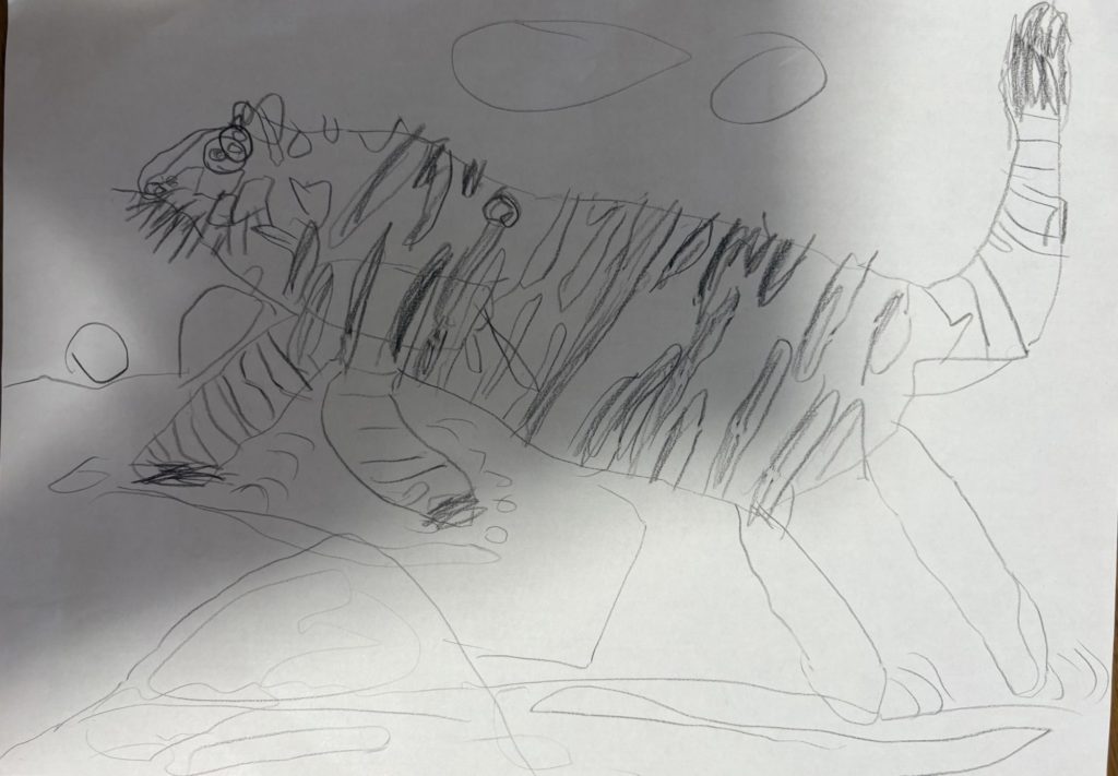 図鑑を見て✏️