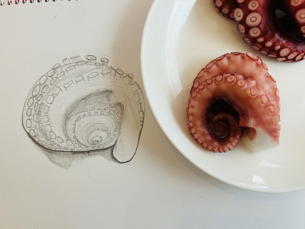 にんじん、たまねぎ、たこ