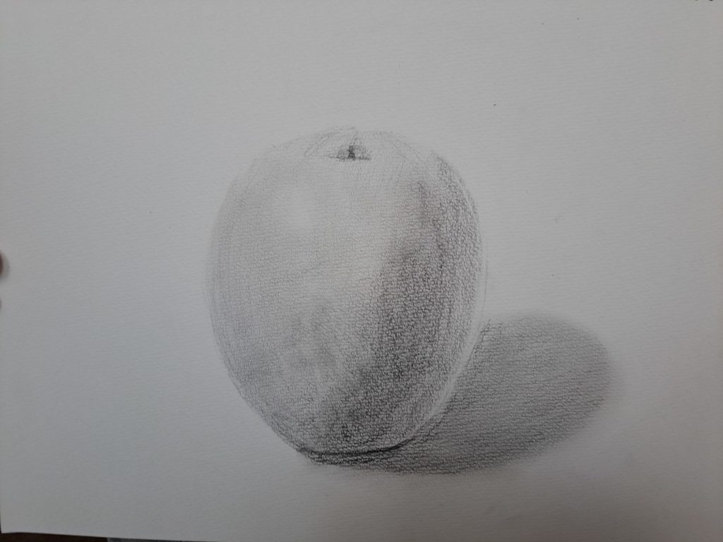 りんご　デッサン