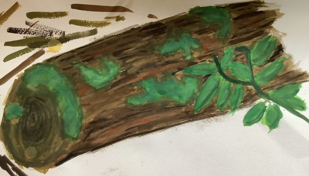 丸太と苔 丸太と苔